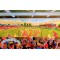 Whaddon Road Stadium Fine Art Print - Cheltenham Town FC